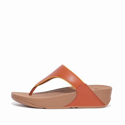 Fitflop LULU Pop Binding Toe-Post Naisten Sandaalit Ruskea | AIP-056832