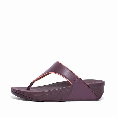 Fitflop LULU Pop Binding Toe-Post Naisten Sandaalit Violetit | NIH-694135